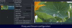 Thumbnail for File:Bin-proxy-streams.gif